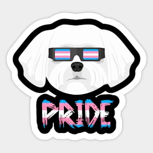 Westie Transgender Flag Lgbt Sticker